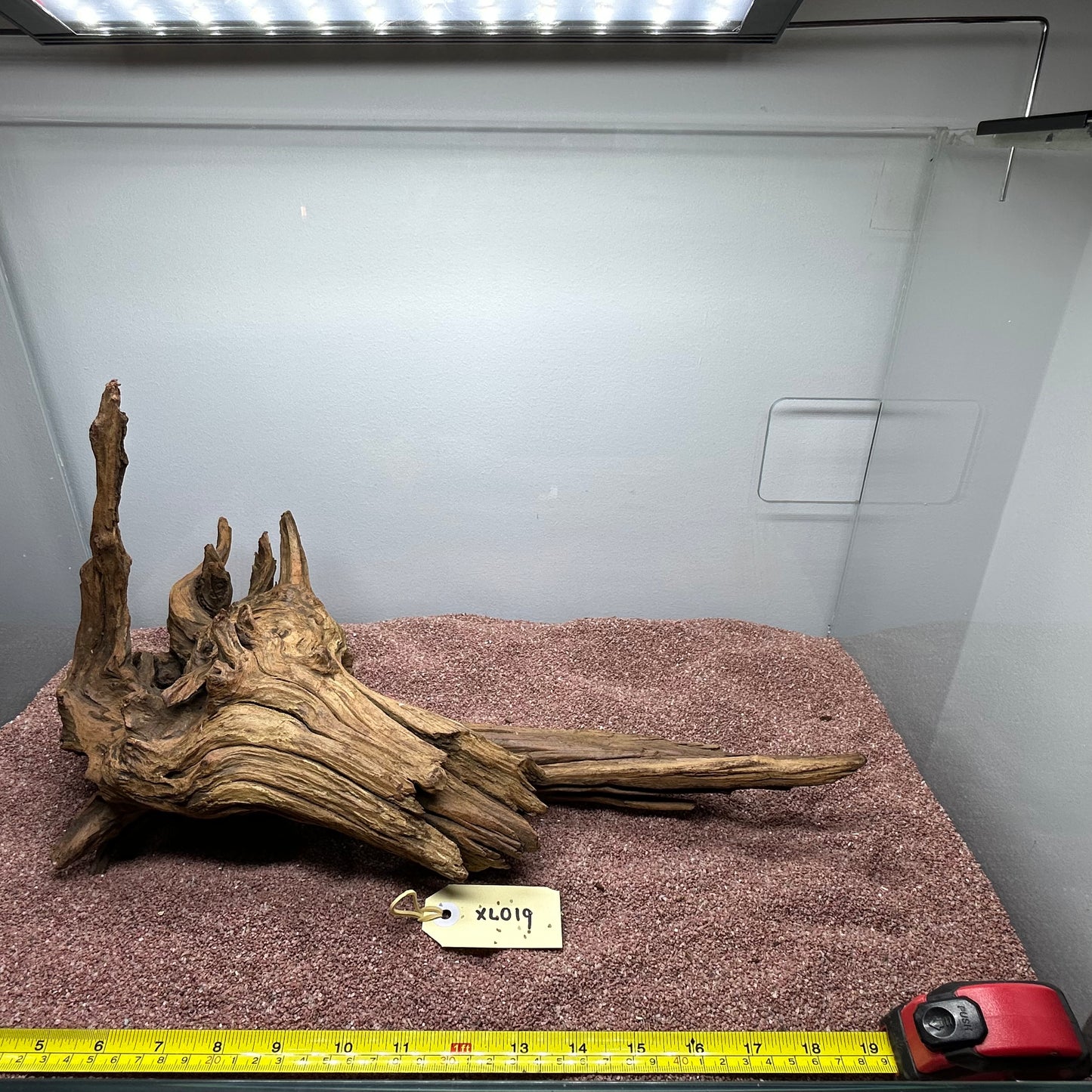 Driftwood (X Large)