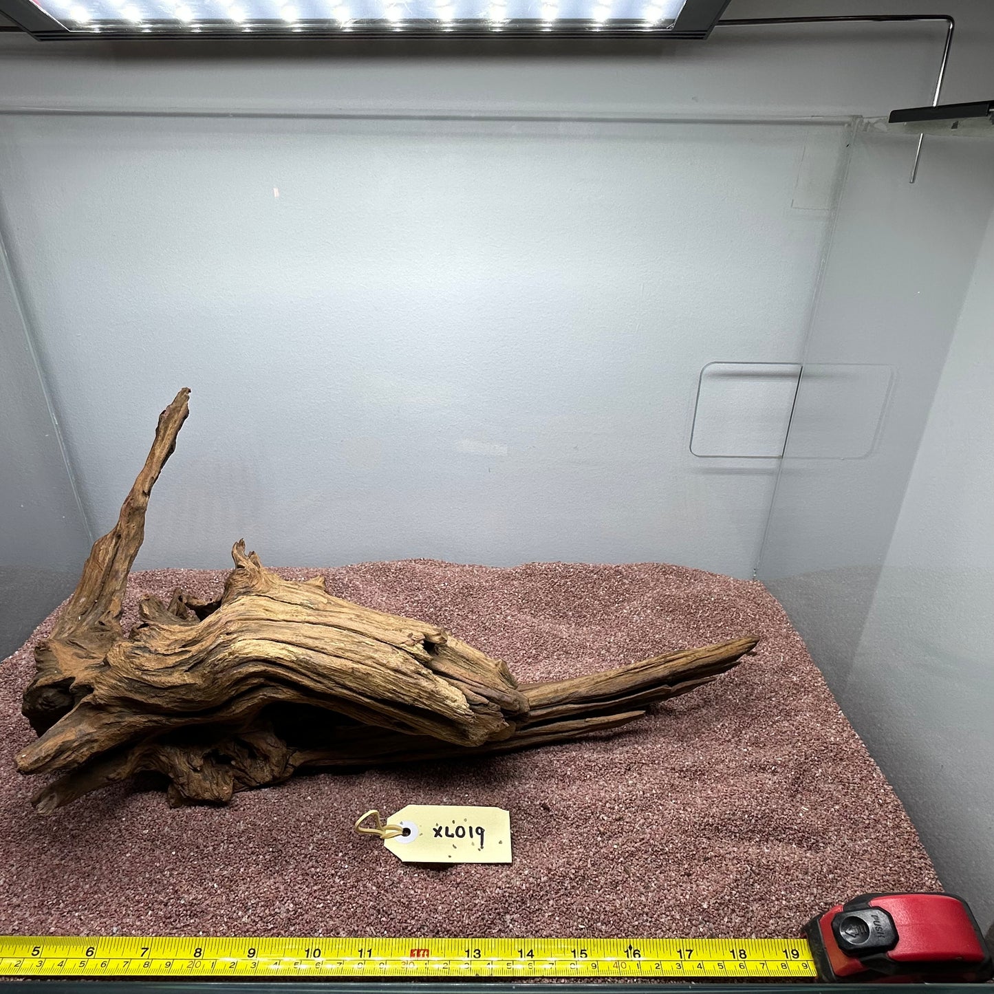 Driftwood (X Large)
