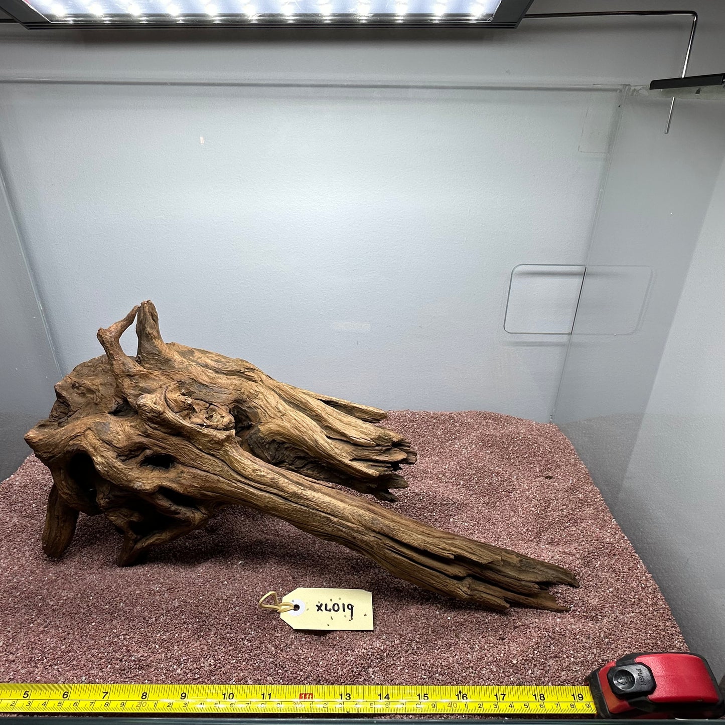 Driftwood (X Large)