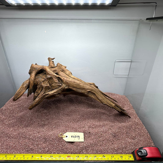 Driftwood (X Large)