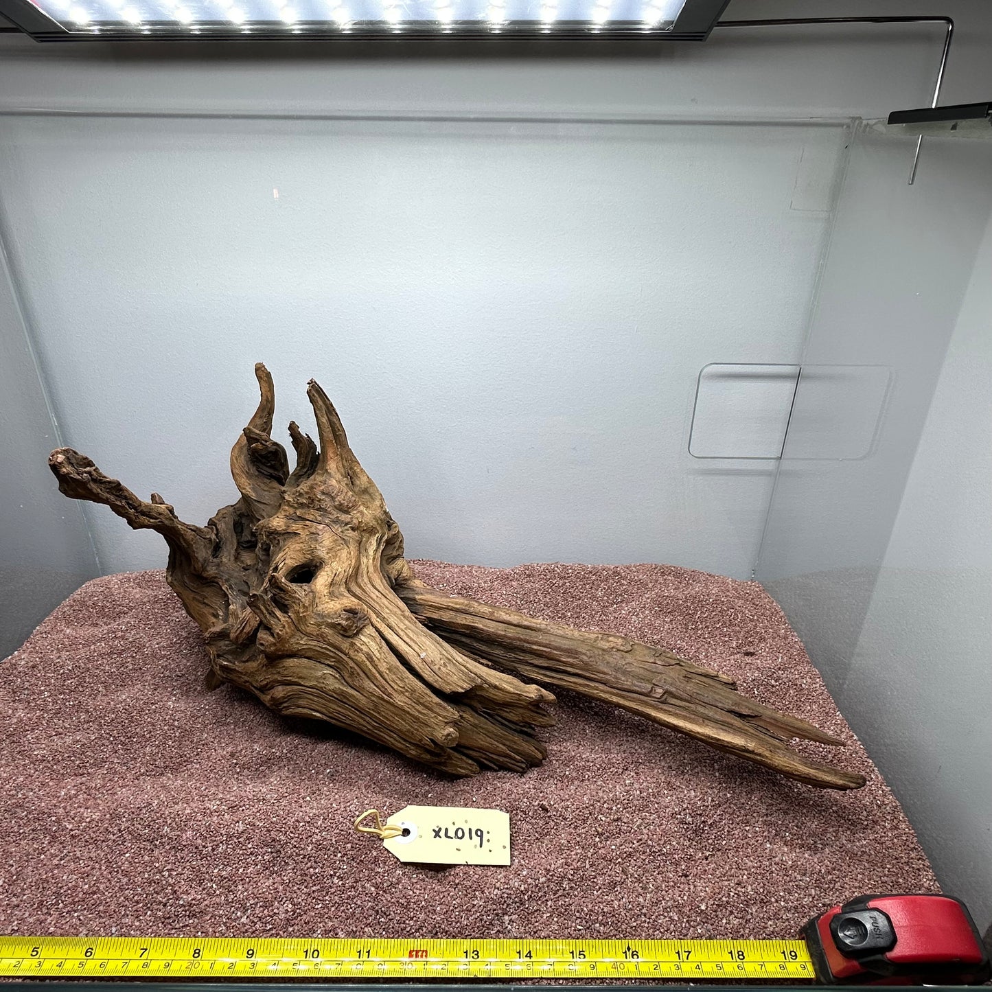 Driftwood (X Large)