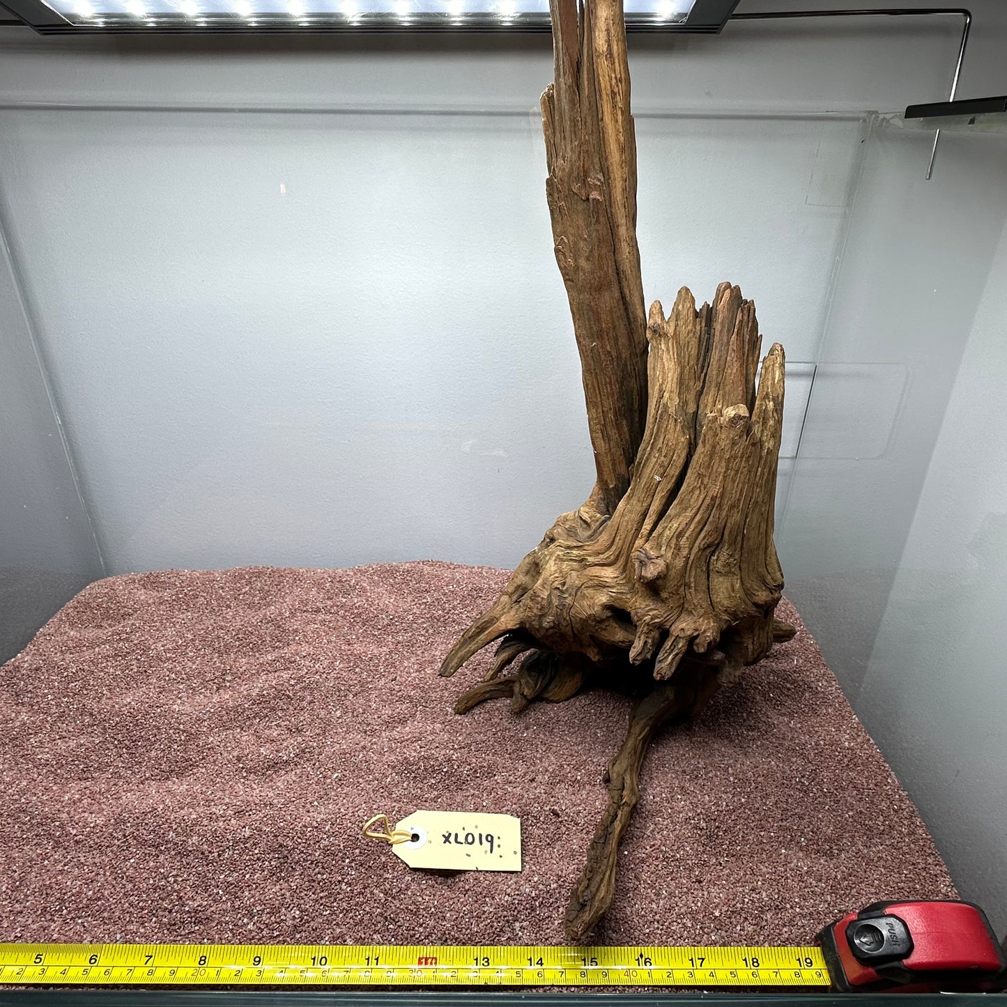 Driftwood (X Large)