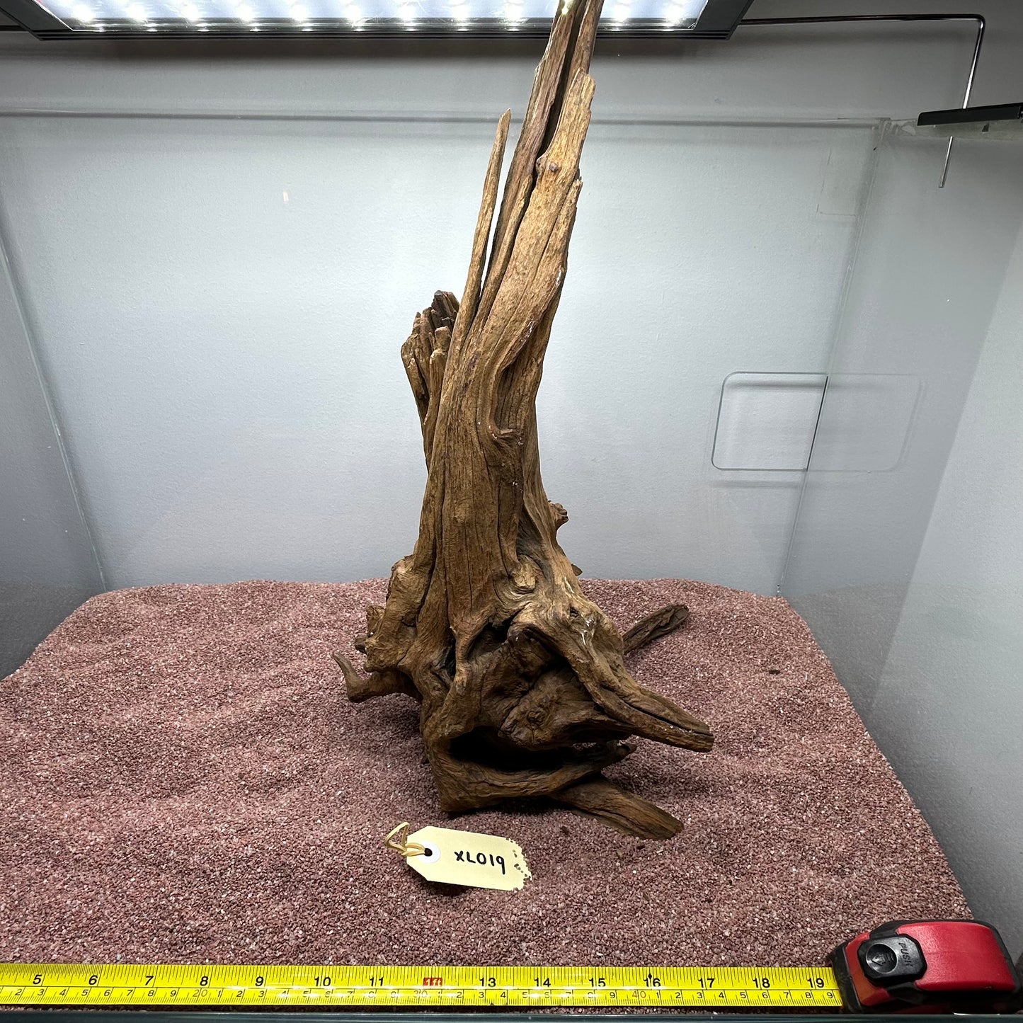 Driftwood (X Large)