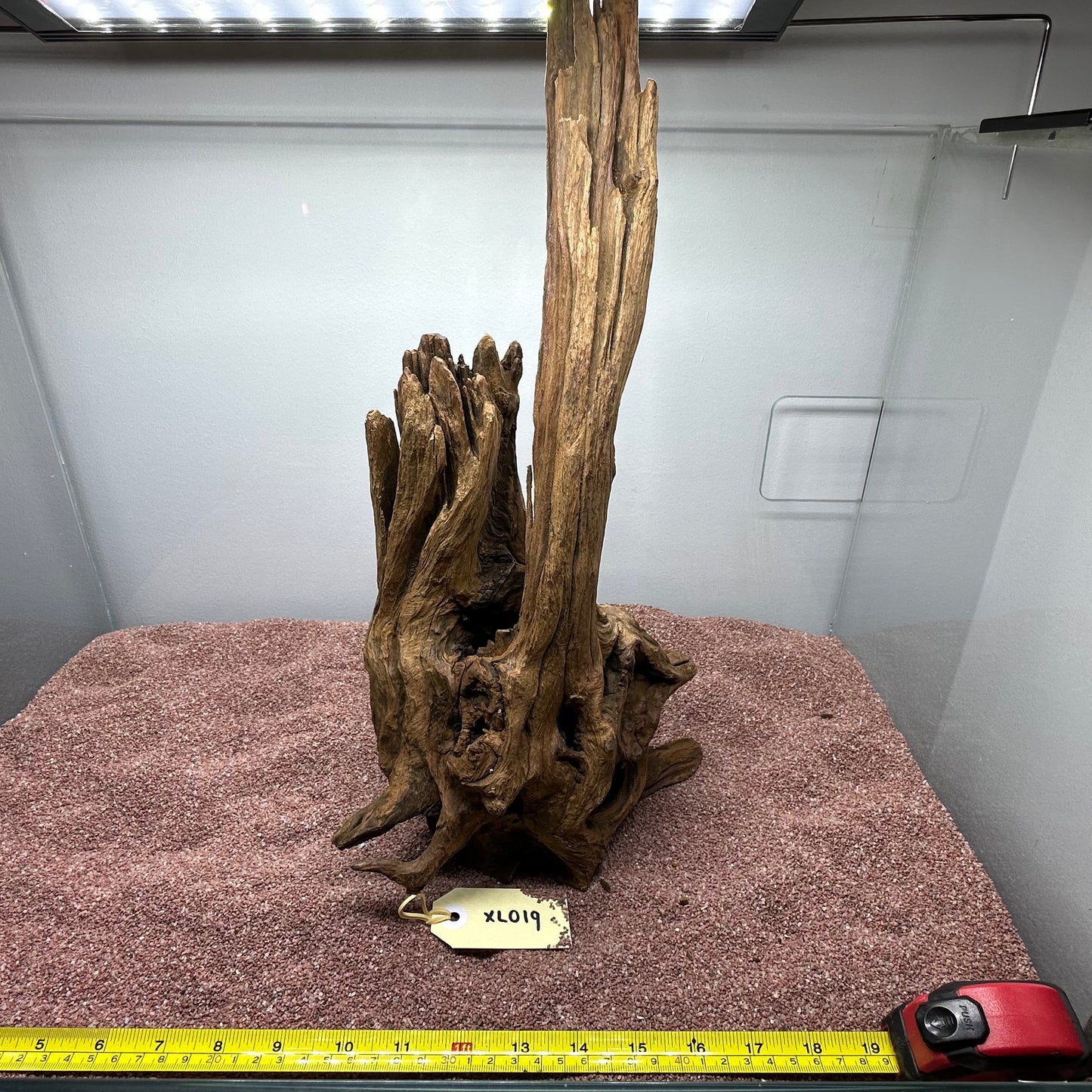 Driftwood (X Large)