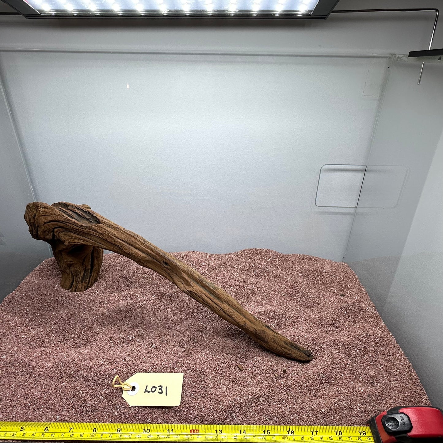 Driftwood (Large)