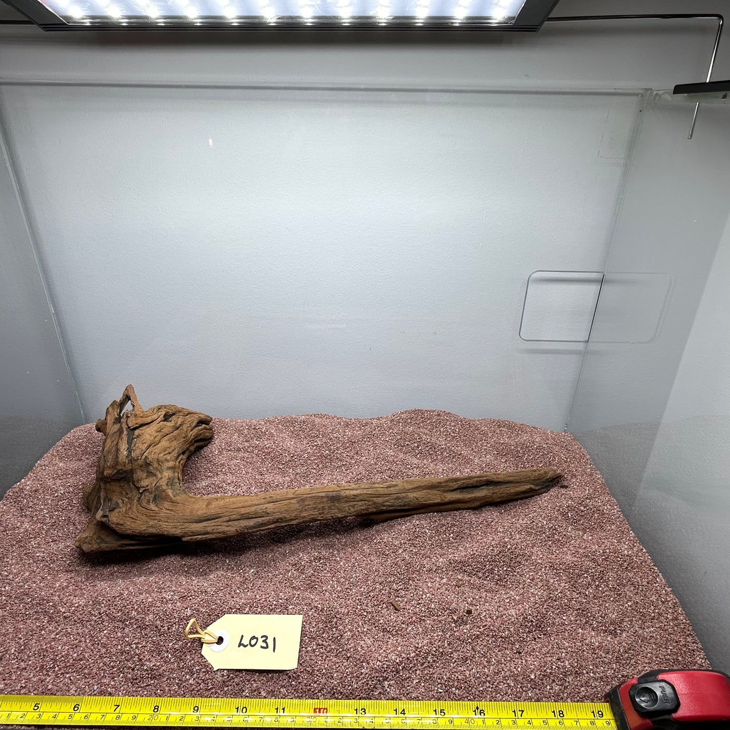 Driftwood (Large)