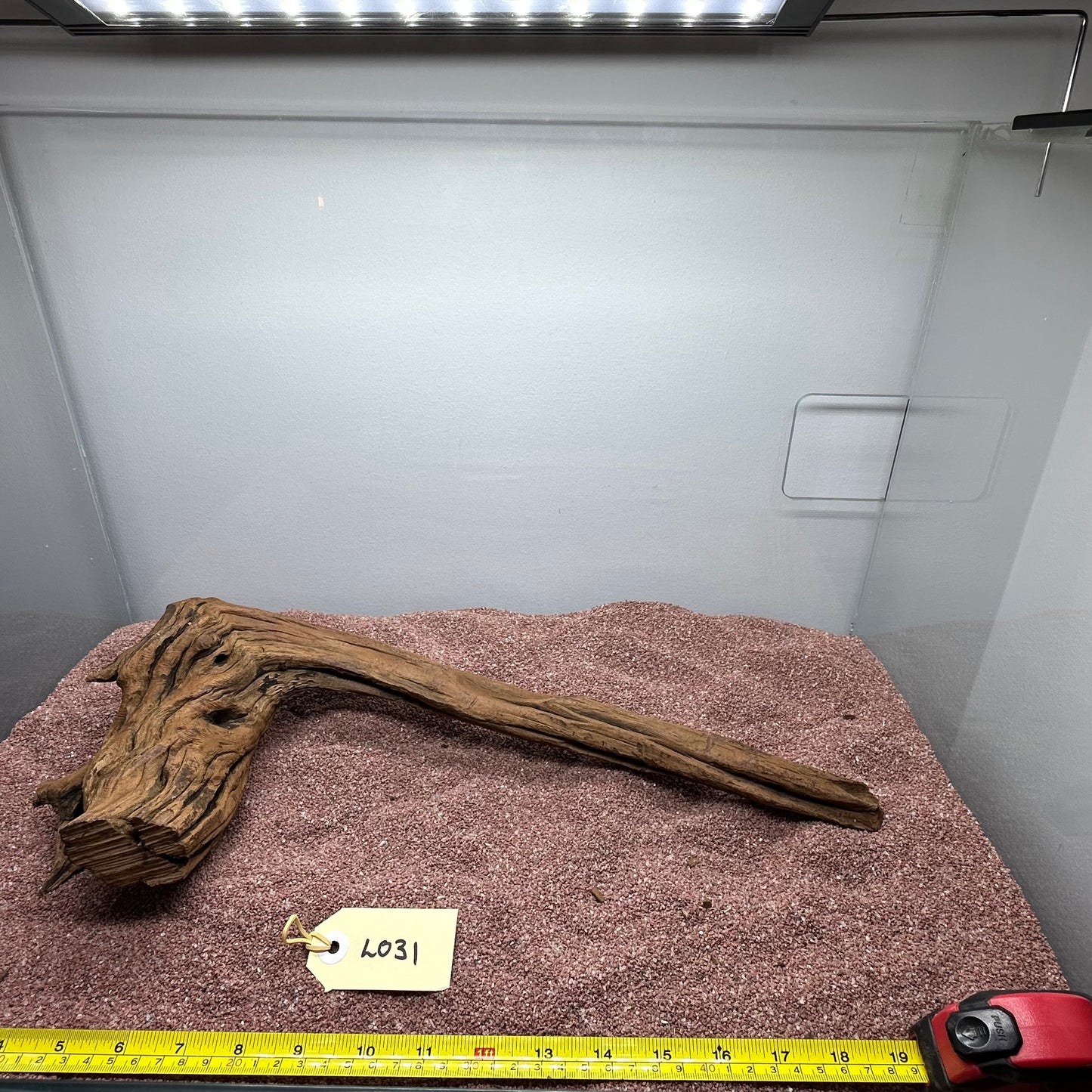 Driftwood (Large)