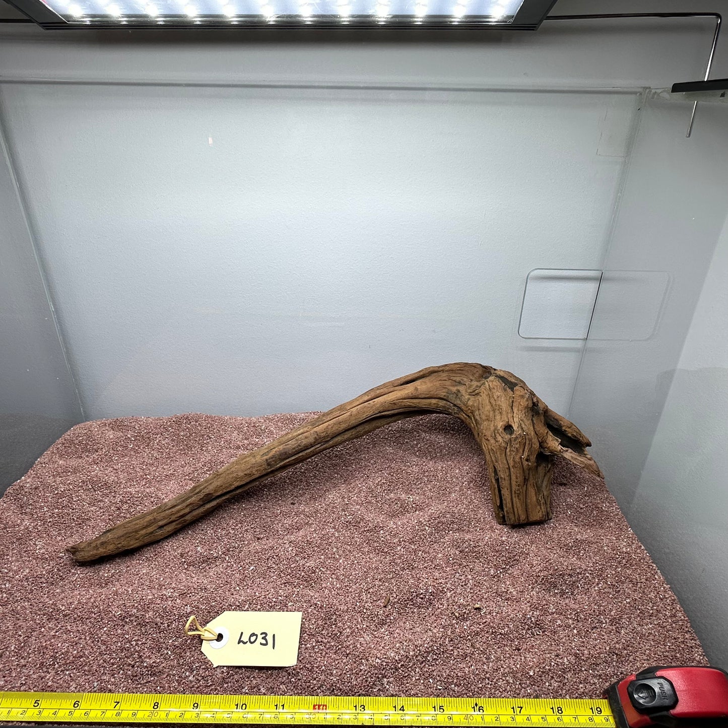 Driftwood (Large)