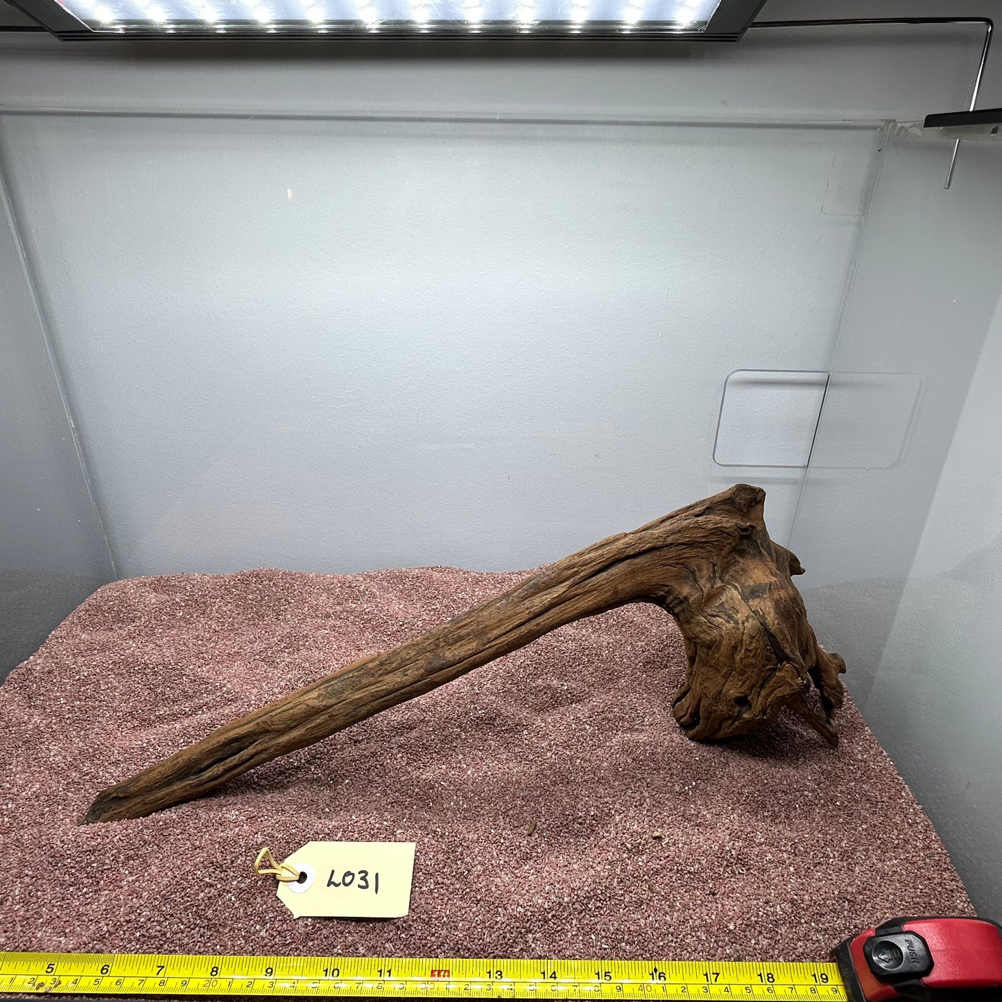 Driftwood (Large)