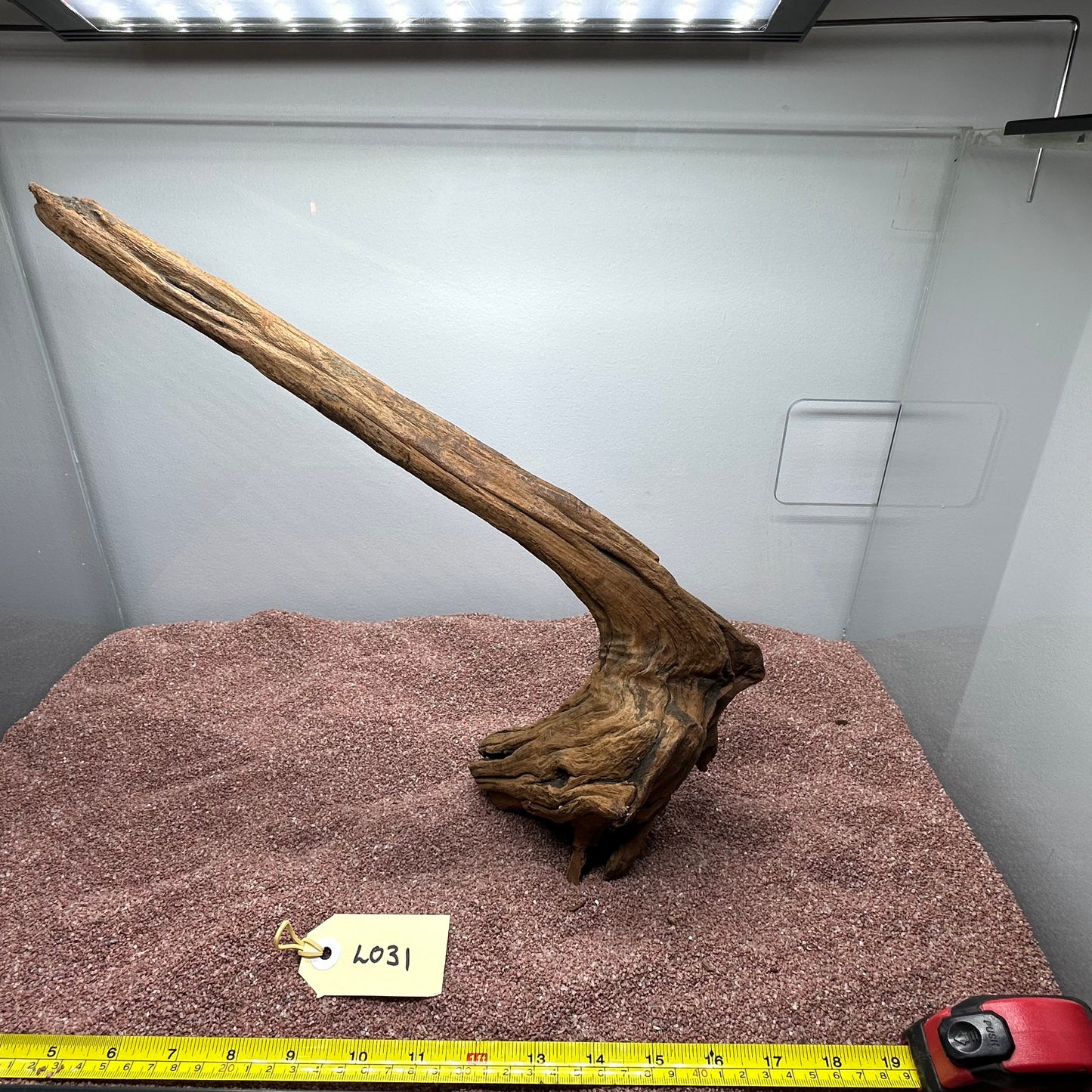 Driftwood (Large)