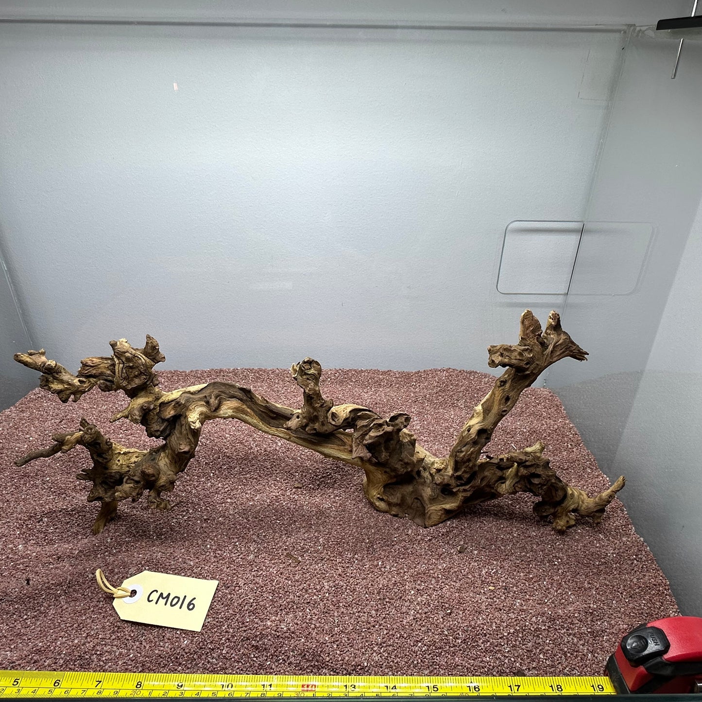 Coral Wood (Medium)