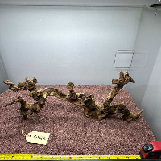 Coral Wood (Medium)