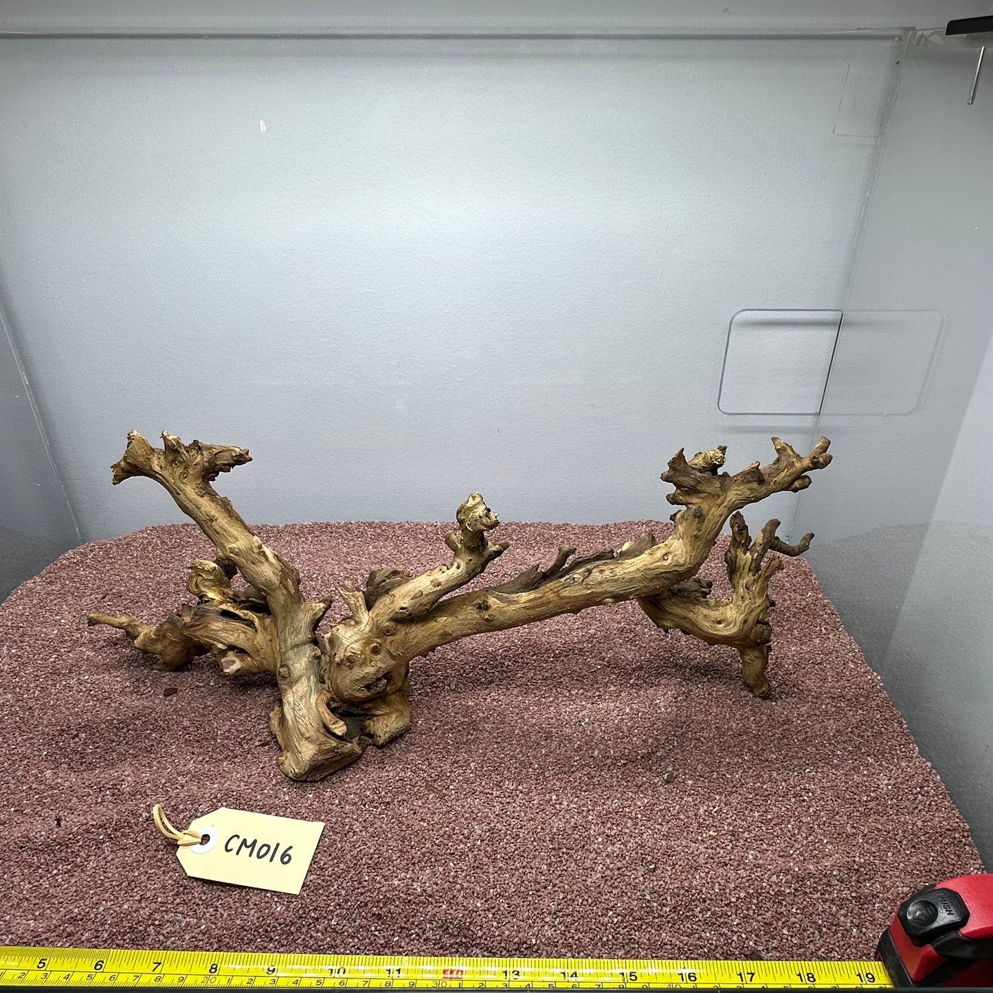 Coral Wood (Medium)