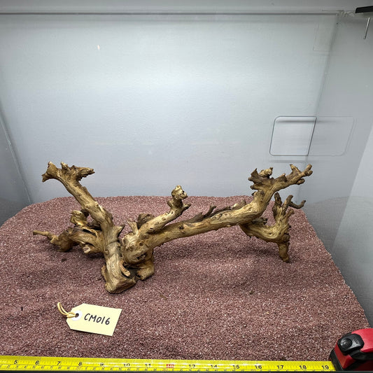 Coral Wood (Medium)