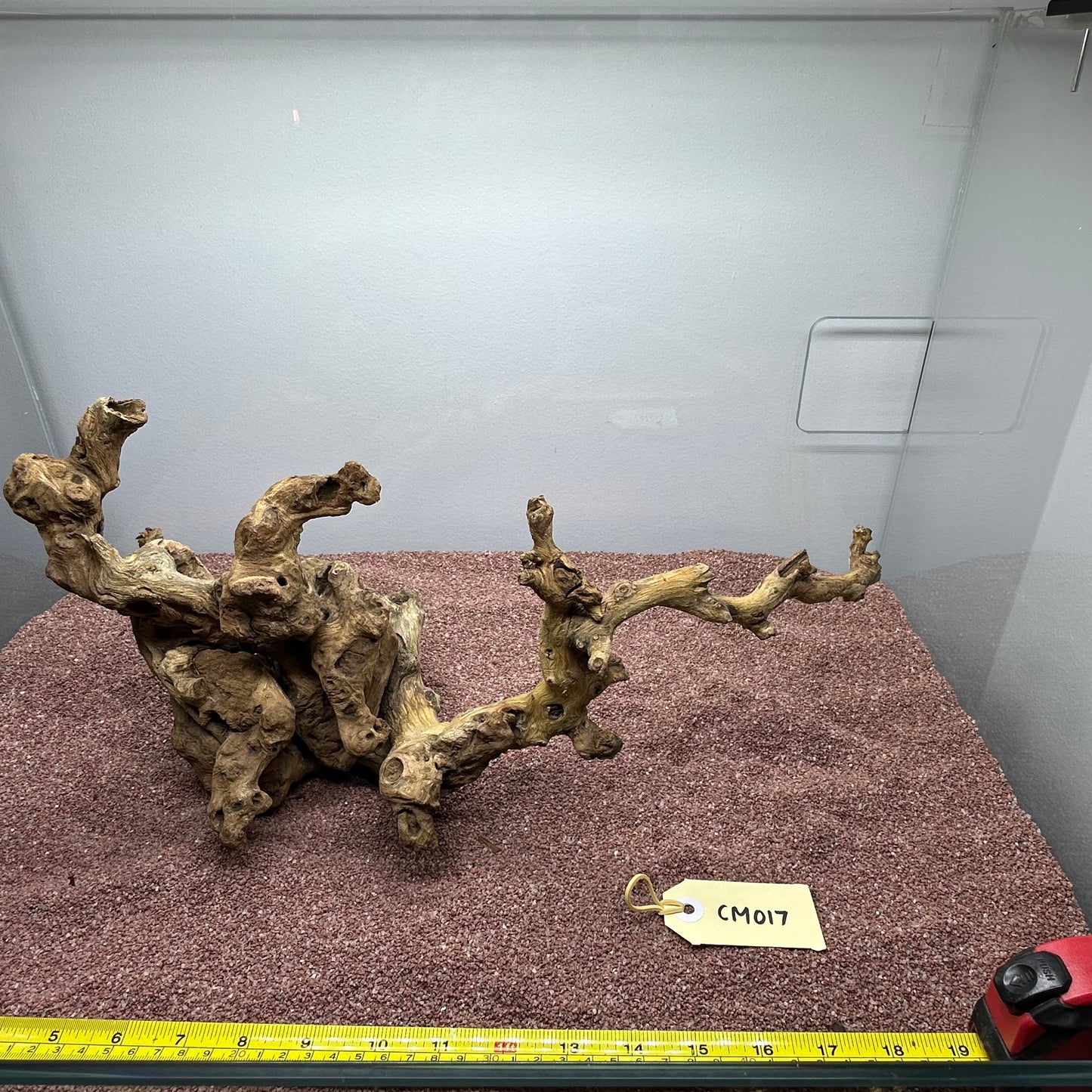 Coral Wood (Medium)