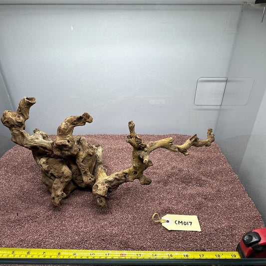 Coral Wood (Medium)