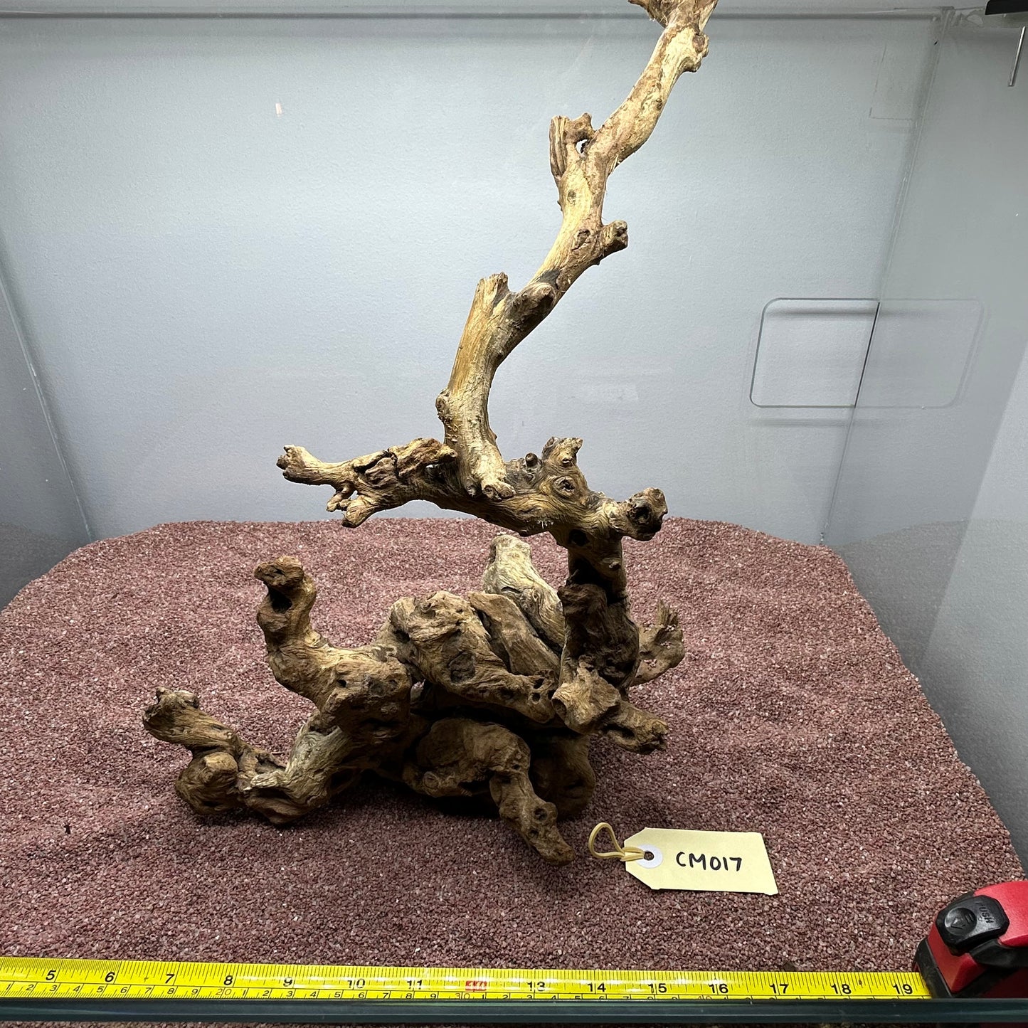 Coral Wood (Medium)