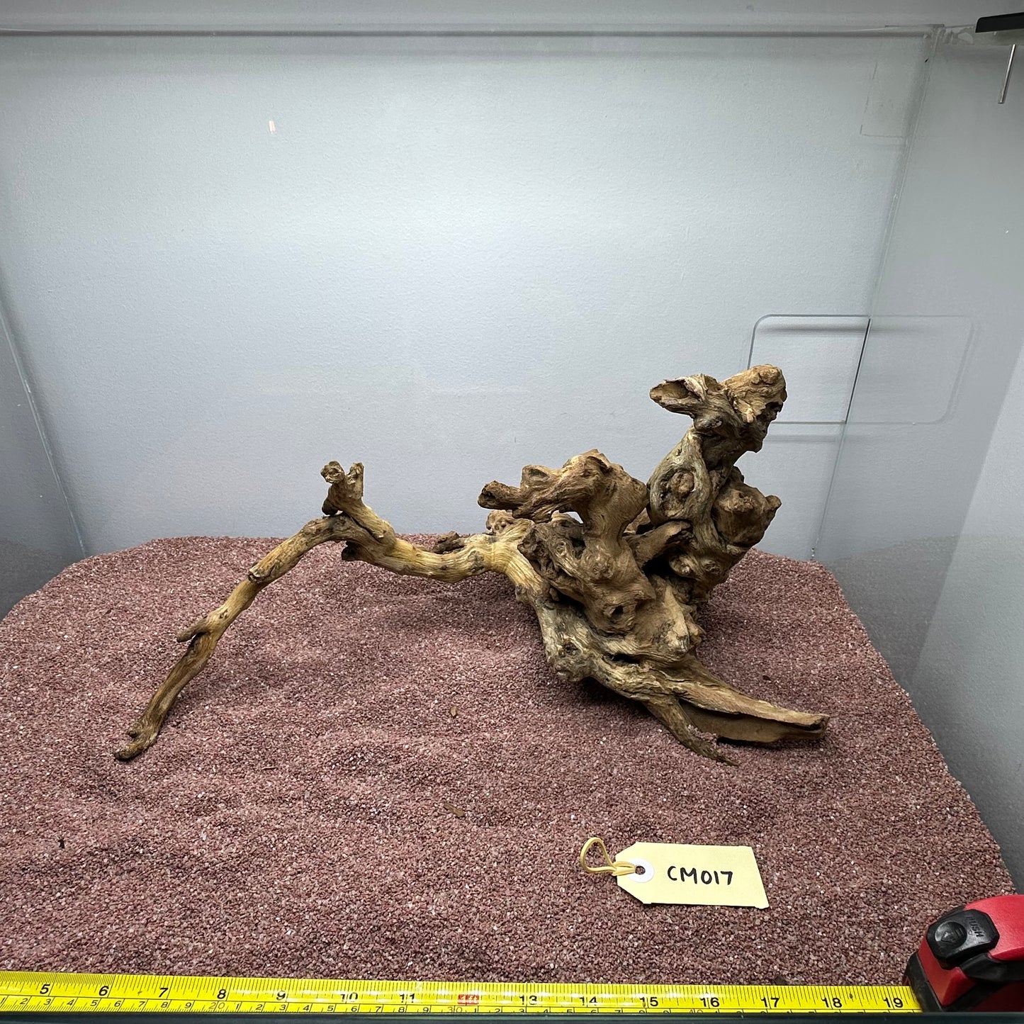 Coral Wood (Medium)