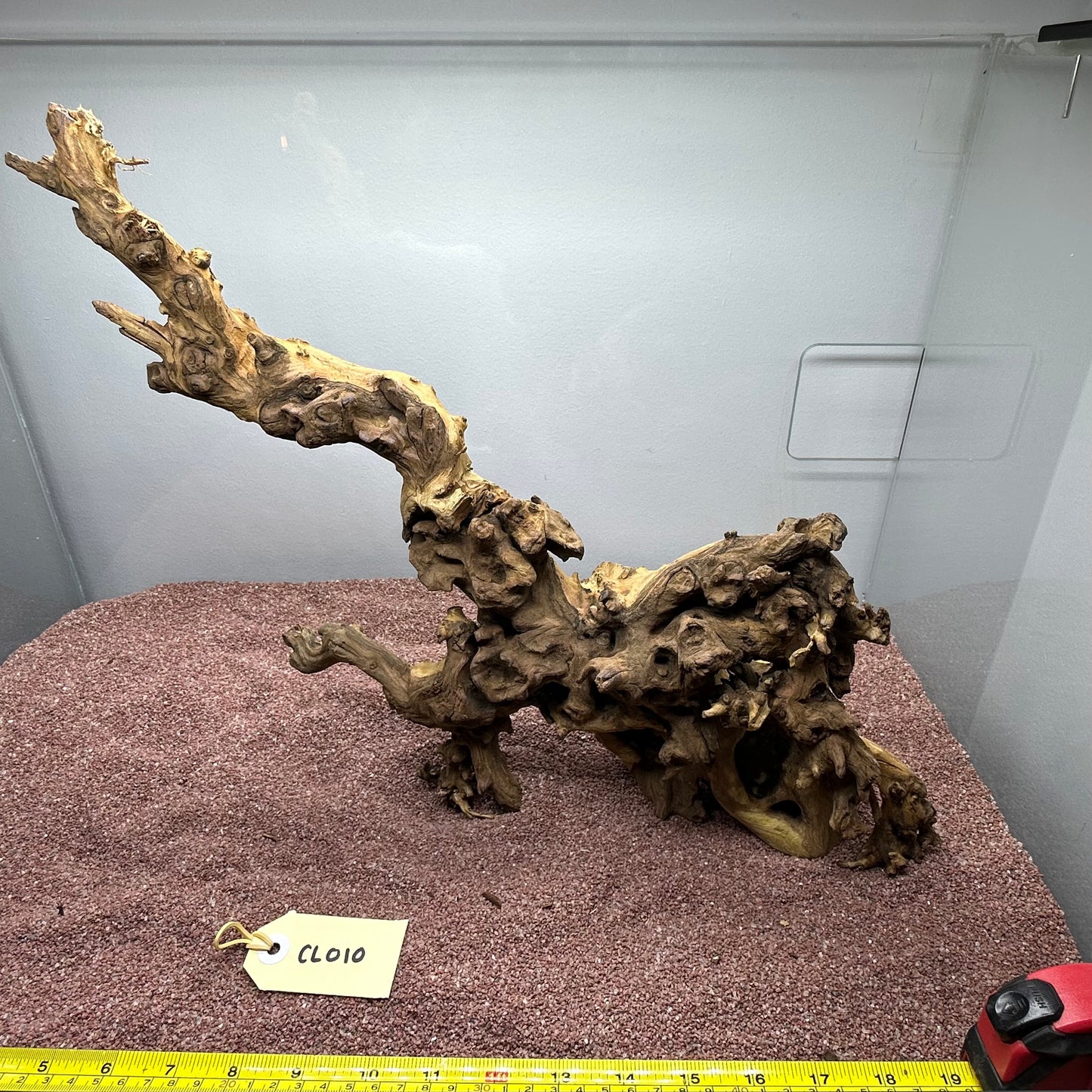 Coral Wood (Large)