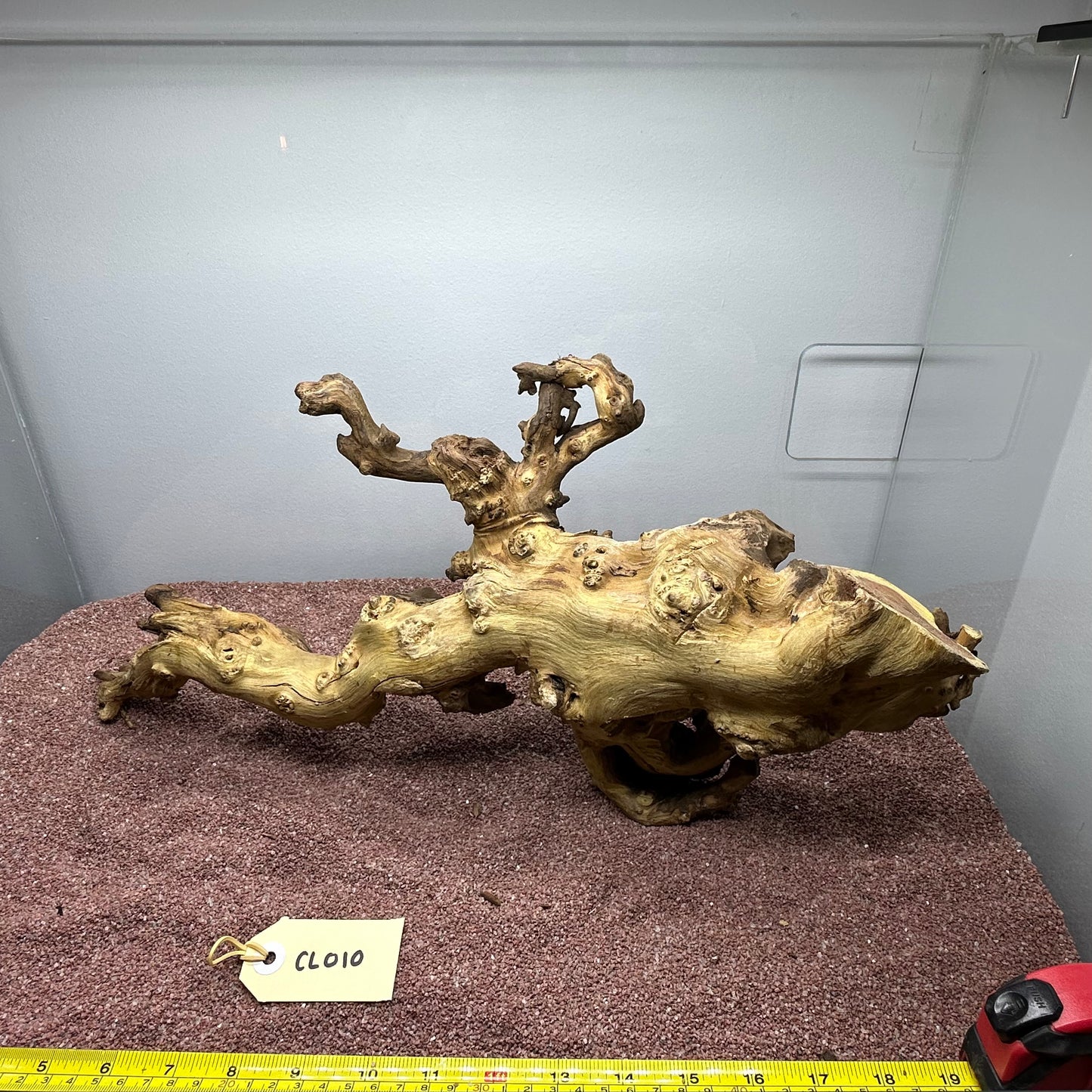 Coral Wood (Large)