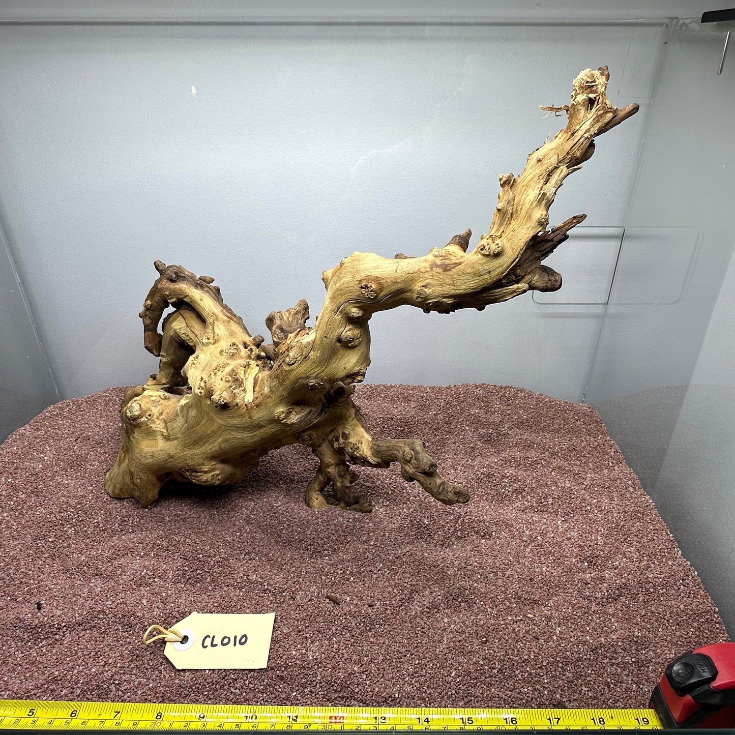Coral Wood (Large)