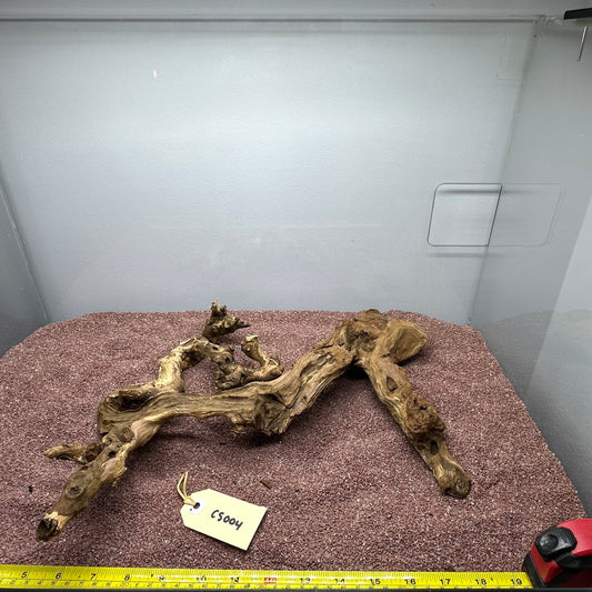 Coral Wood (Small)
