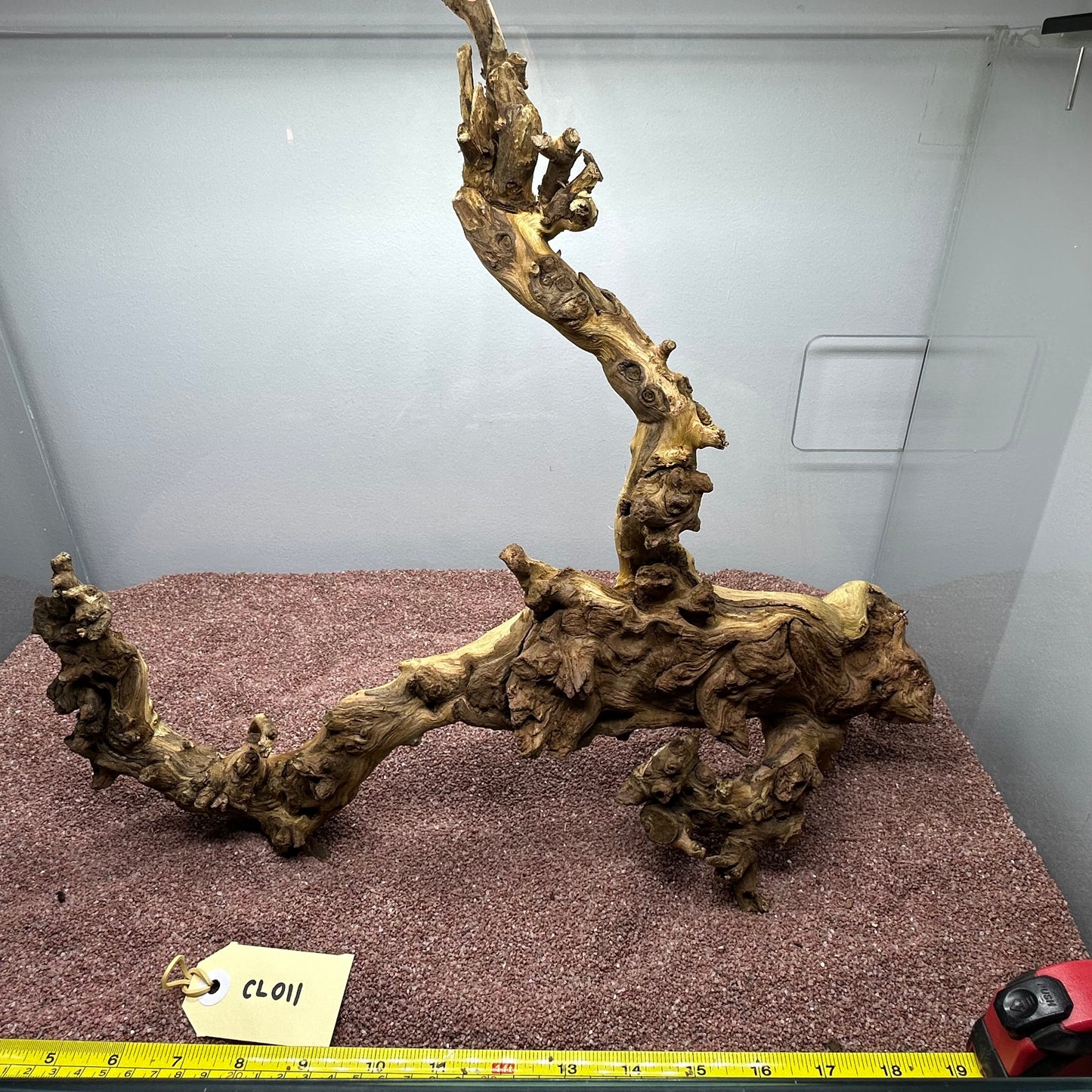Coral Wood (Large)