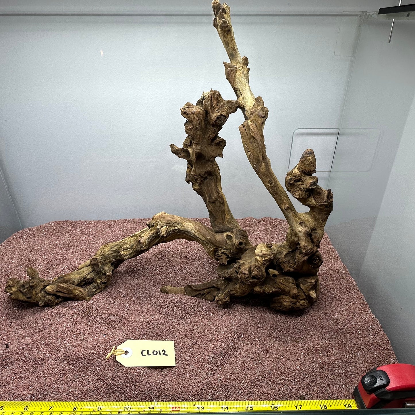 Coral Wood (Large)