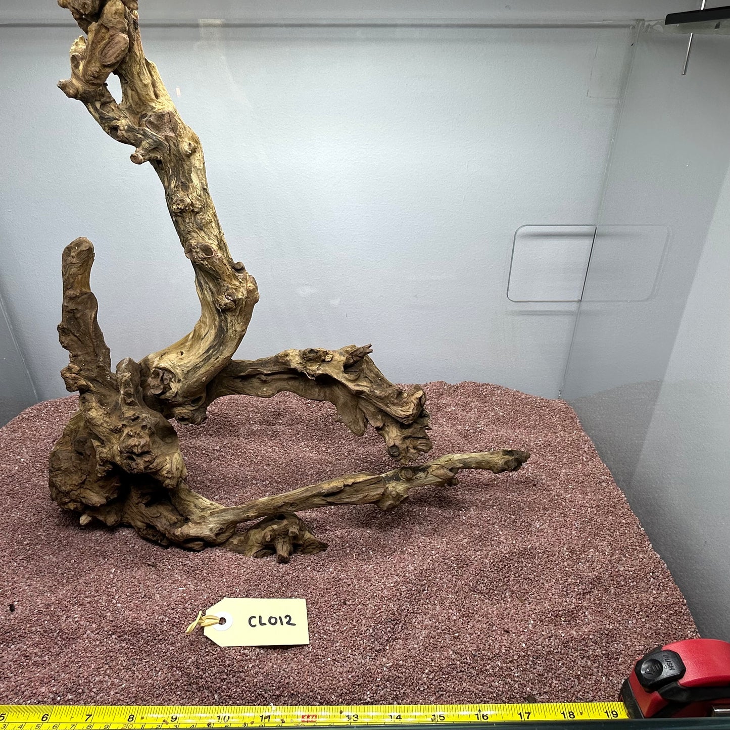 Coral Wood (Large)