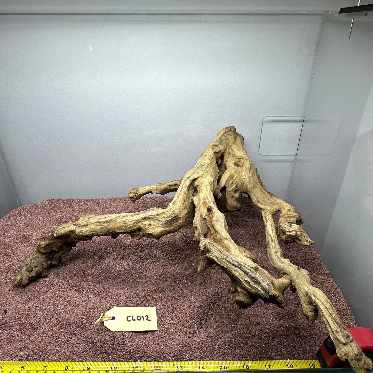 Coral Wood (Large)