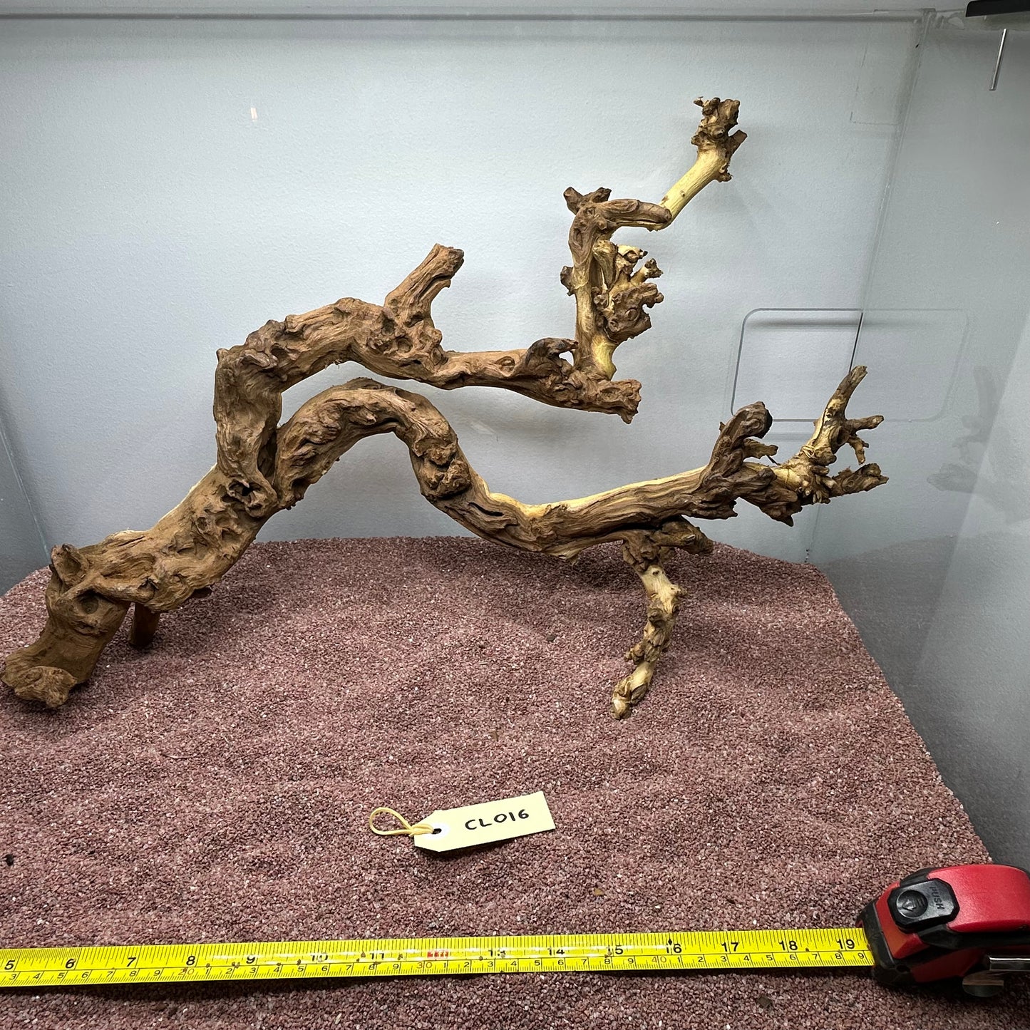 Coral Wood (Large)