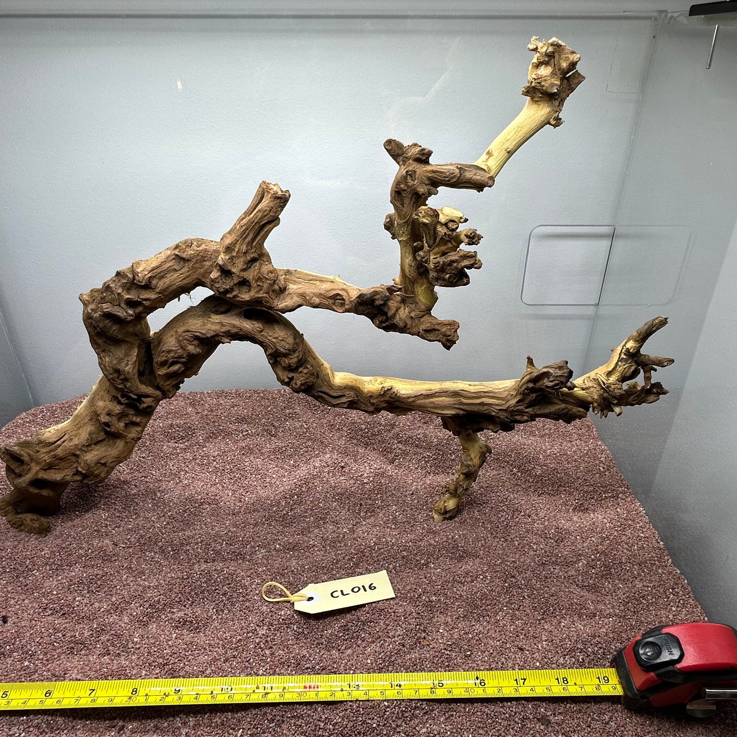 Coral Wood (Large)