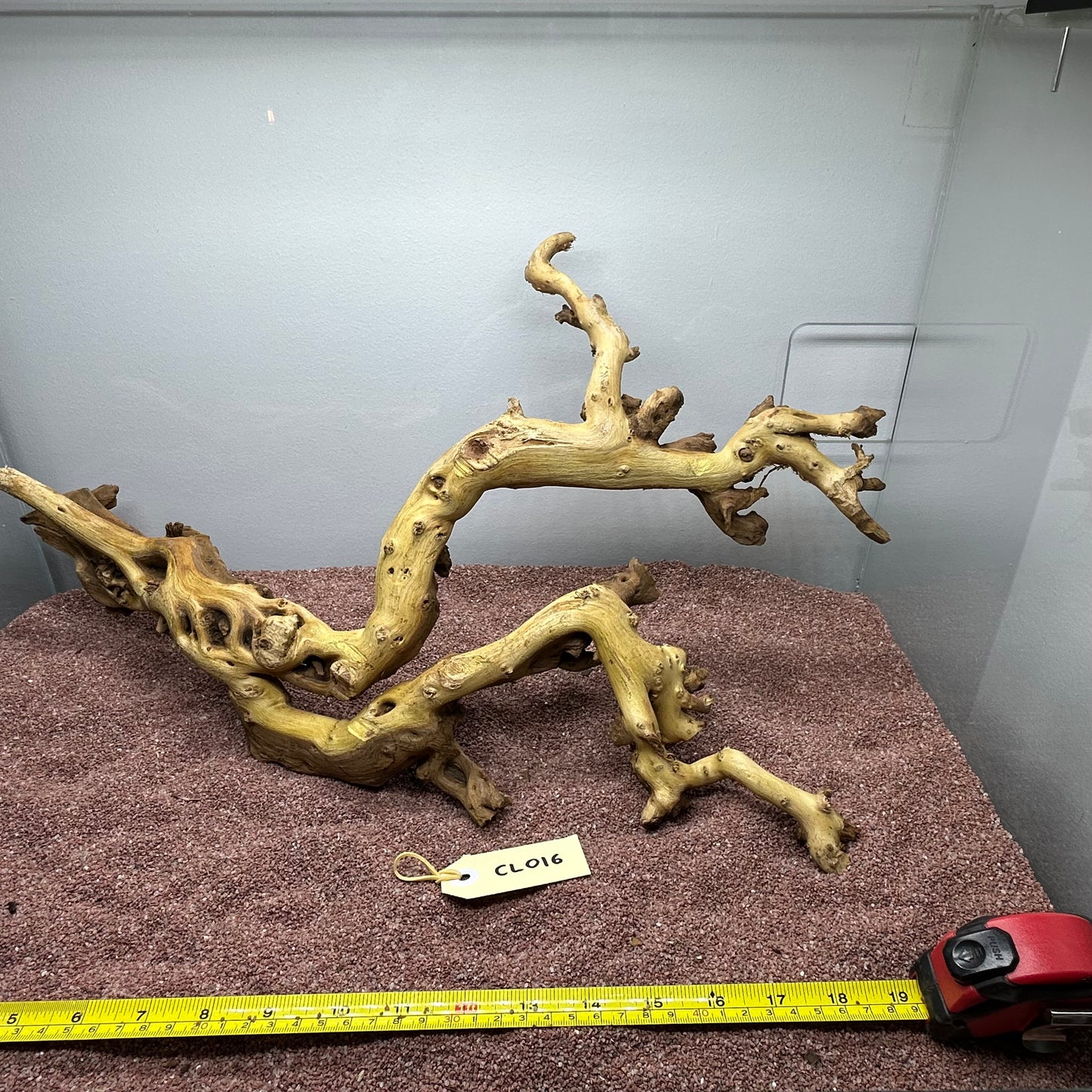 Coral Wood (Large)