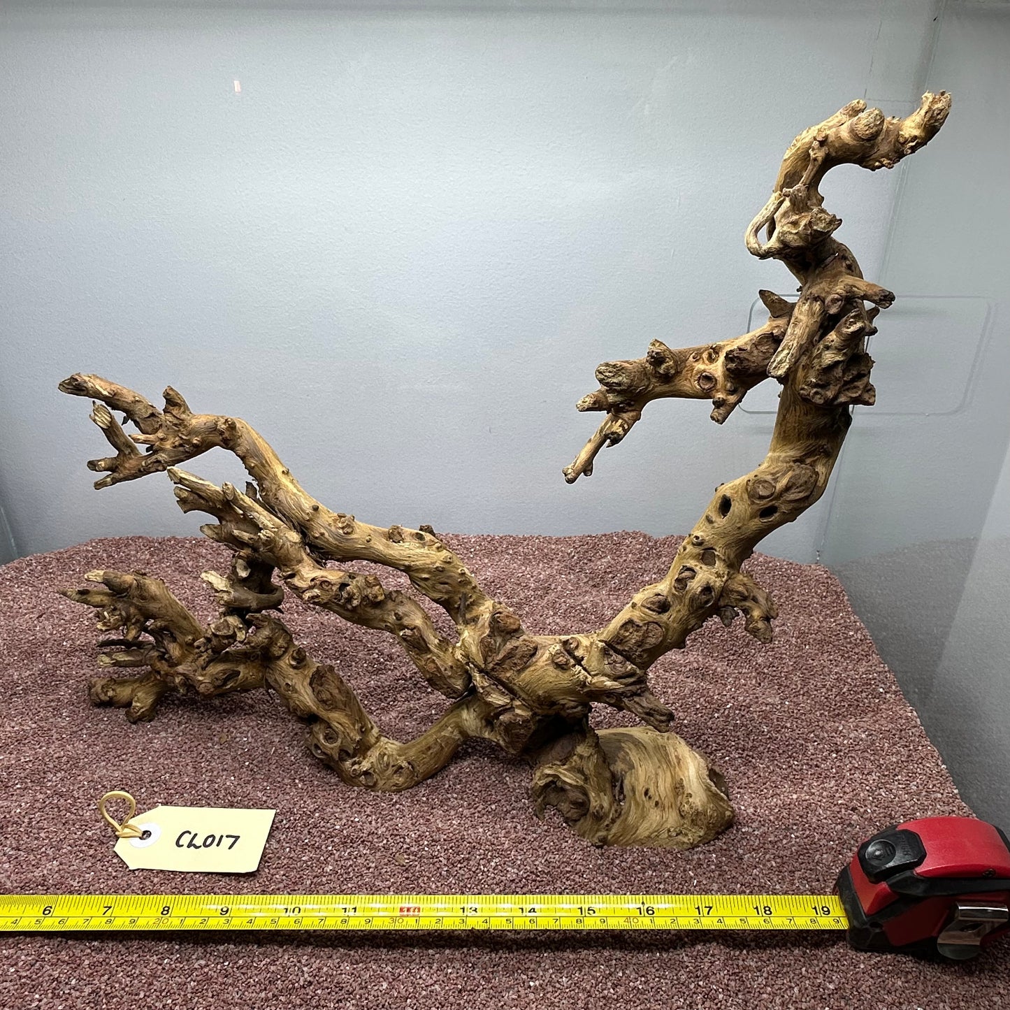 Coral Wood (Large)