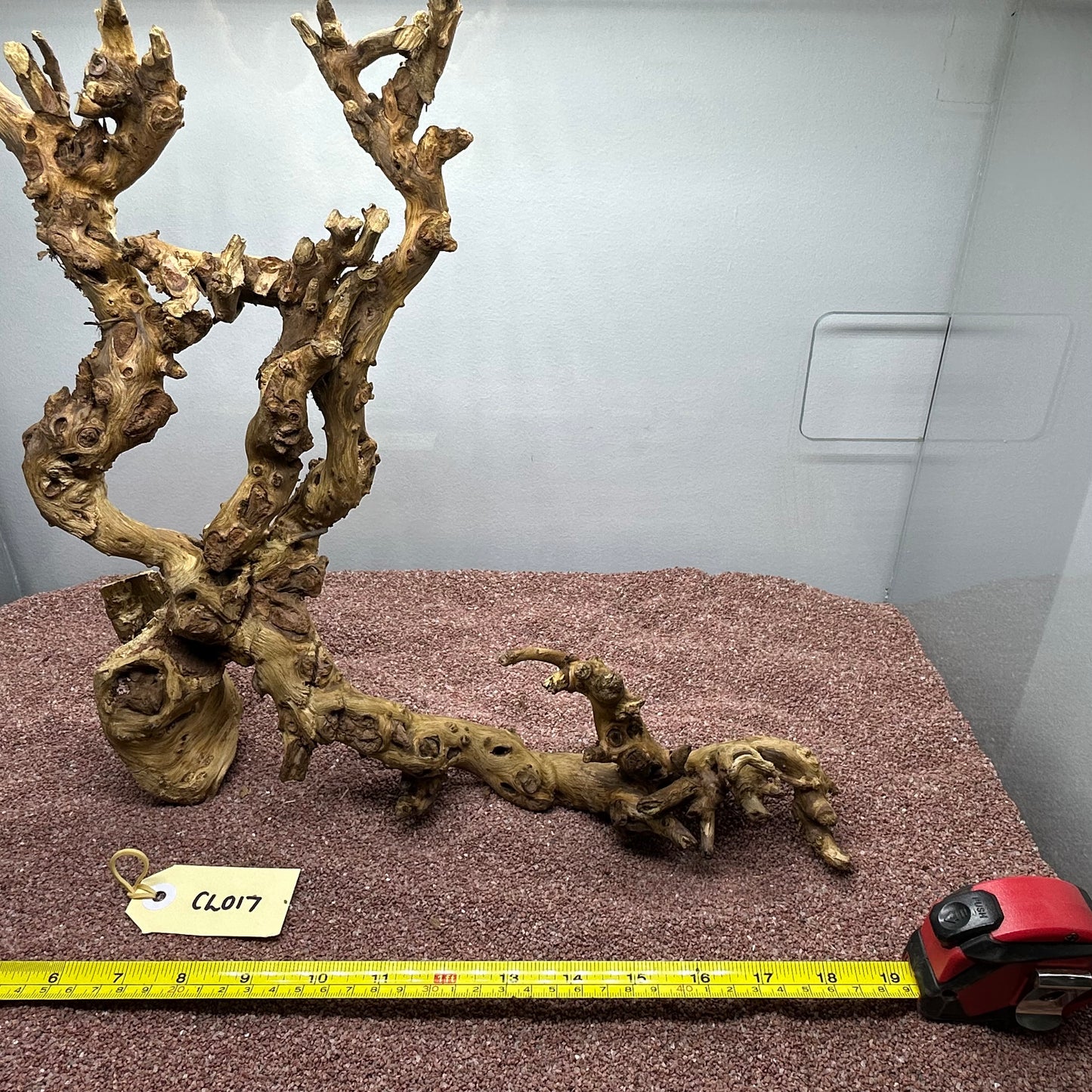 Coral Wood (Large)