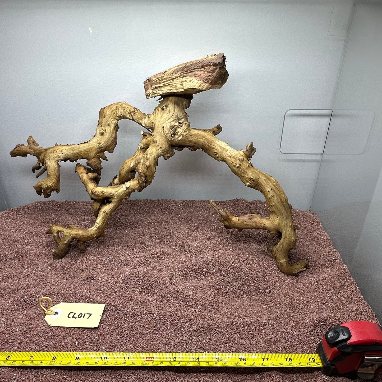 Coral Wood (Large)