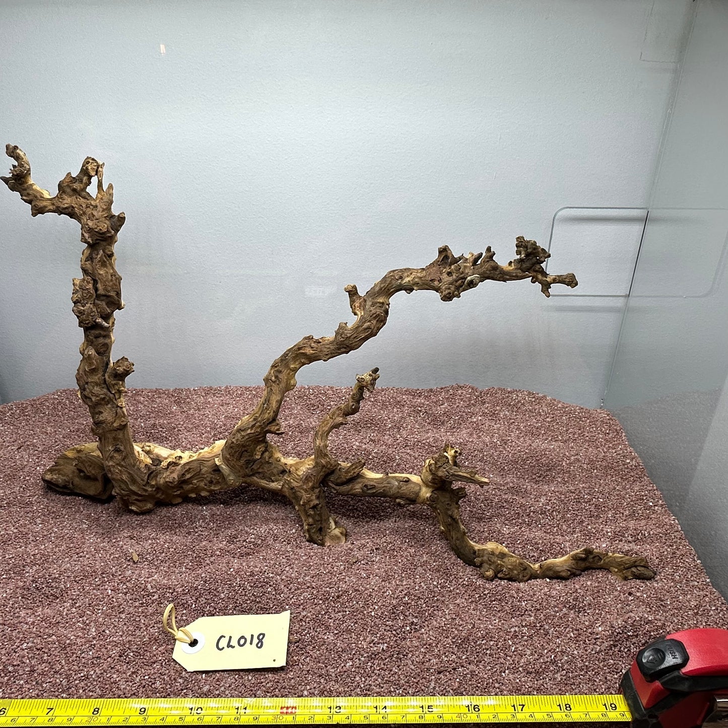 Coral Wood (Large)