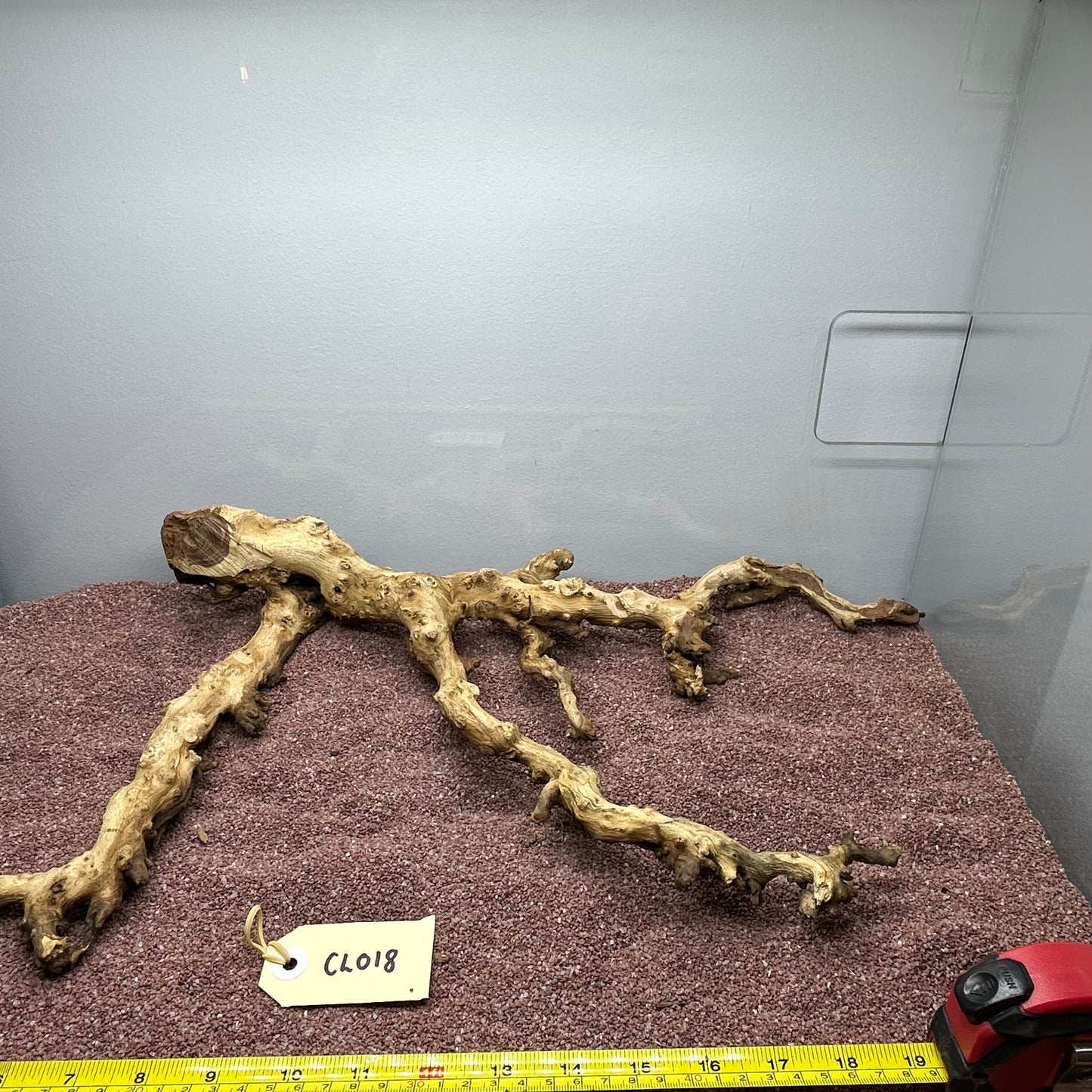 Coral Wood (Large)