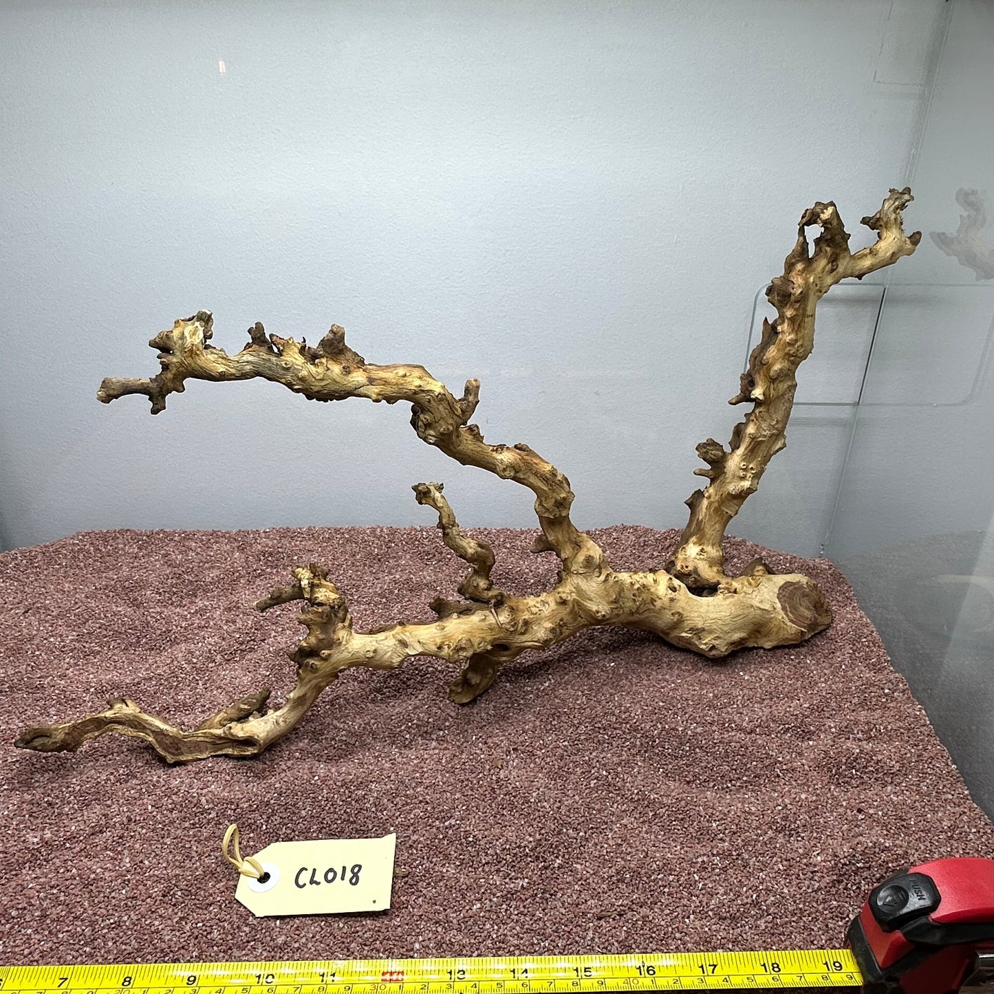 Coral Wood (Large)