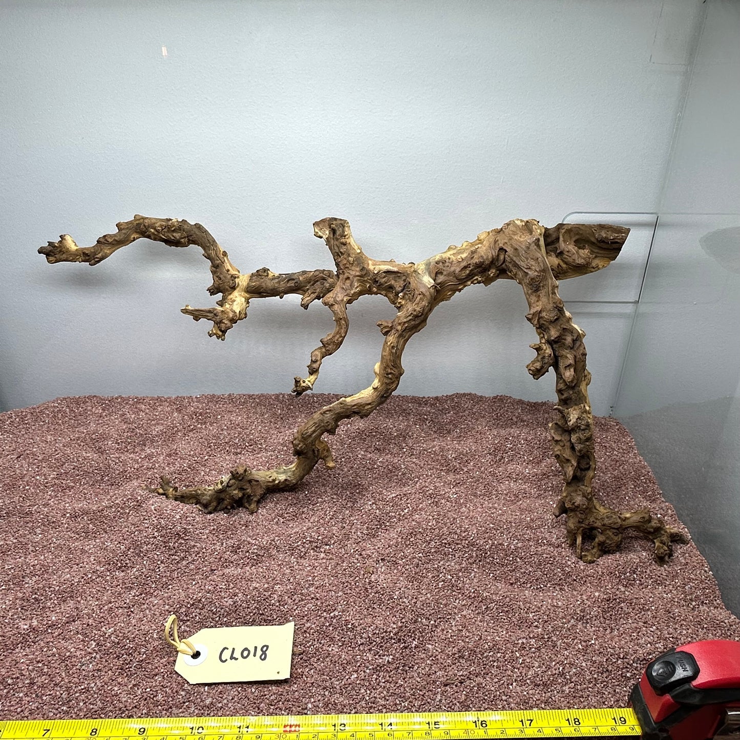 Coral Wood (Large)