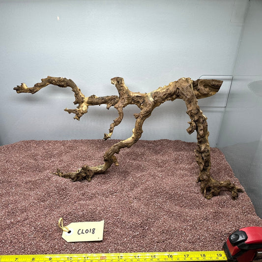 Coral Wood (Large)