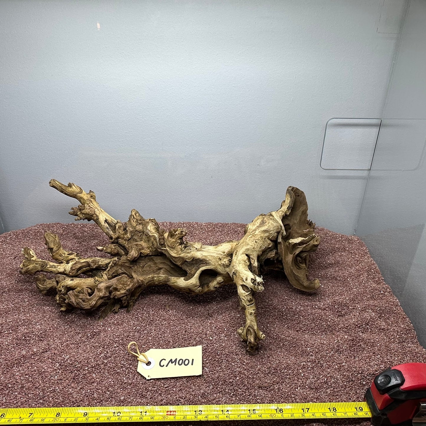 Coral Wood (Medium)