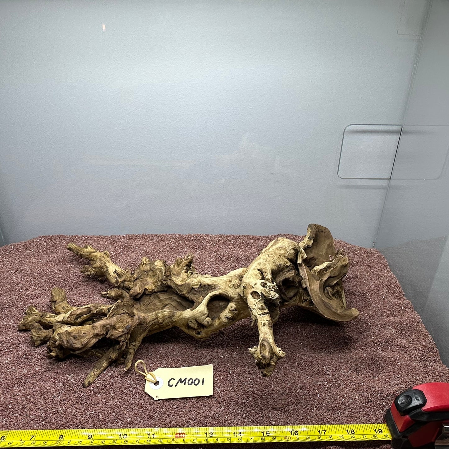 Coral Wood (Medium)
