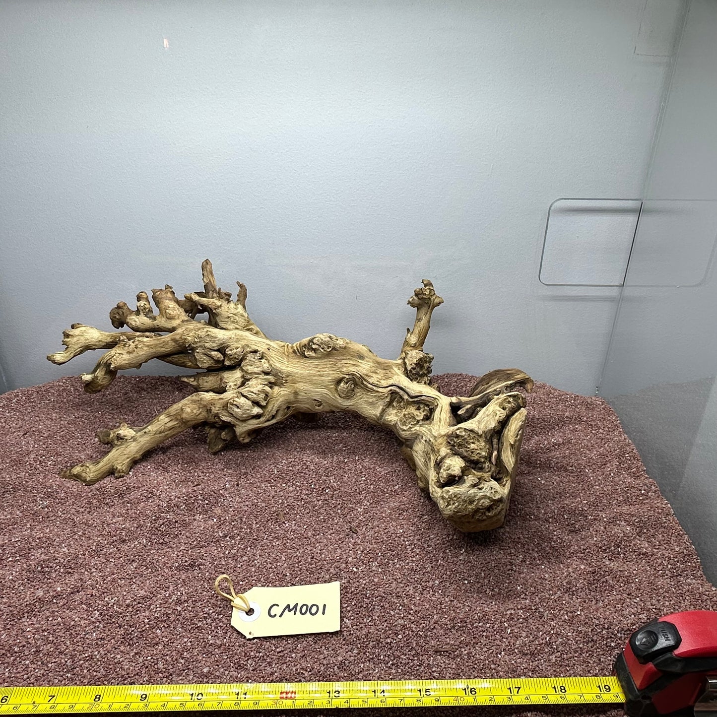 Coral Wood (Medium)
