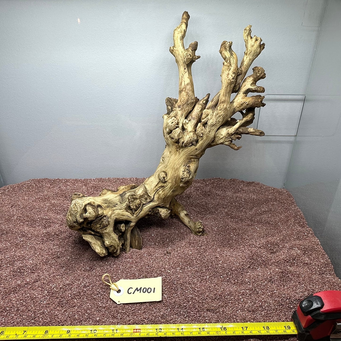 Coral Wood (Medium)