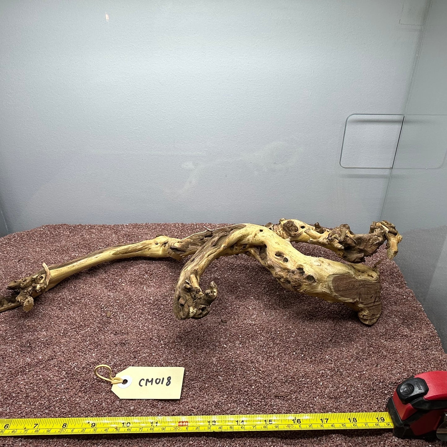 Coral Wood (Medium)