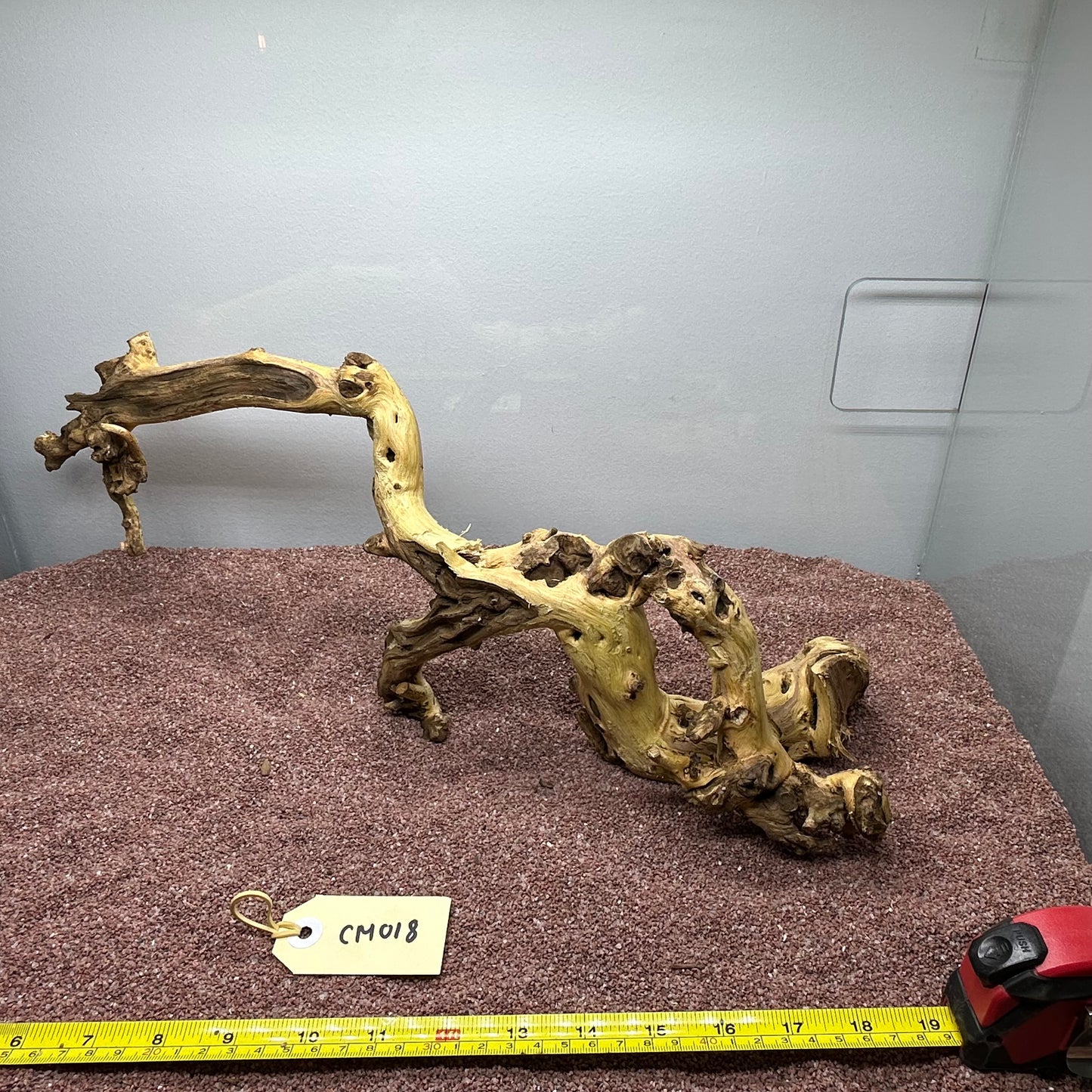 Coral Wood (Medium)