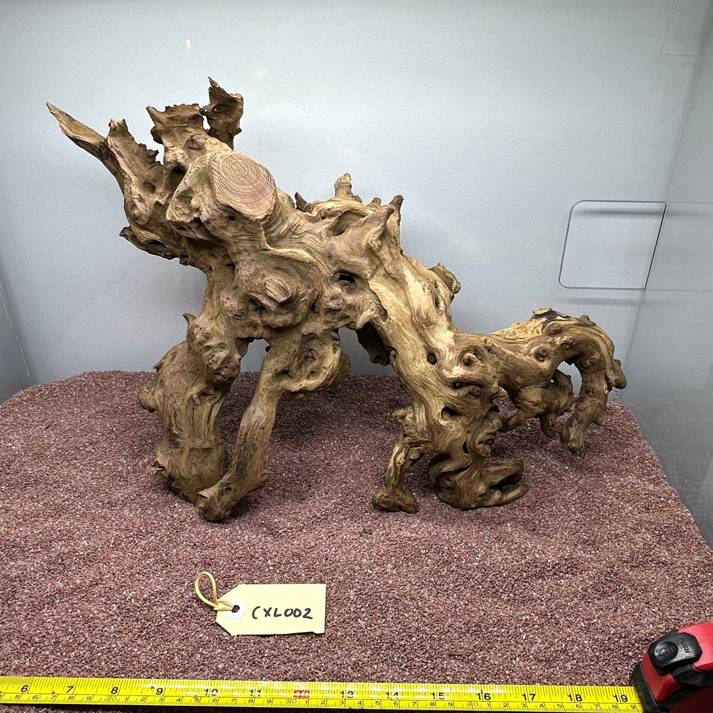 Coral Wood (X Large)