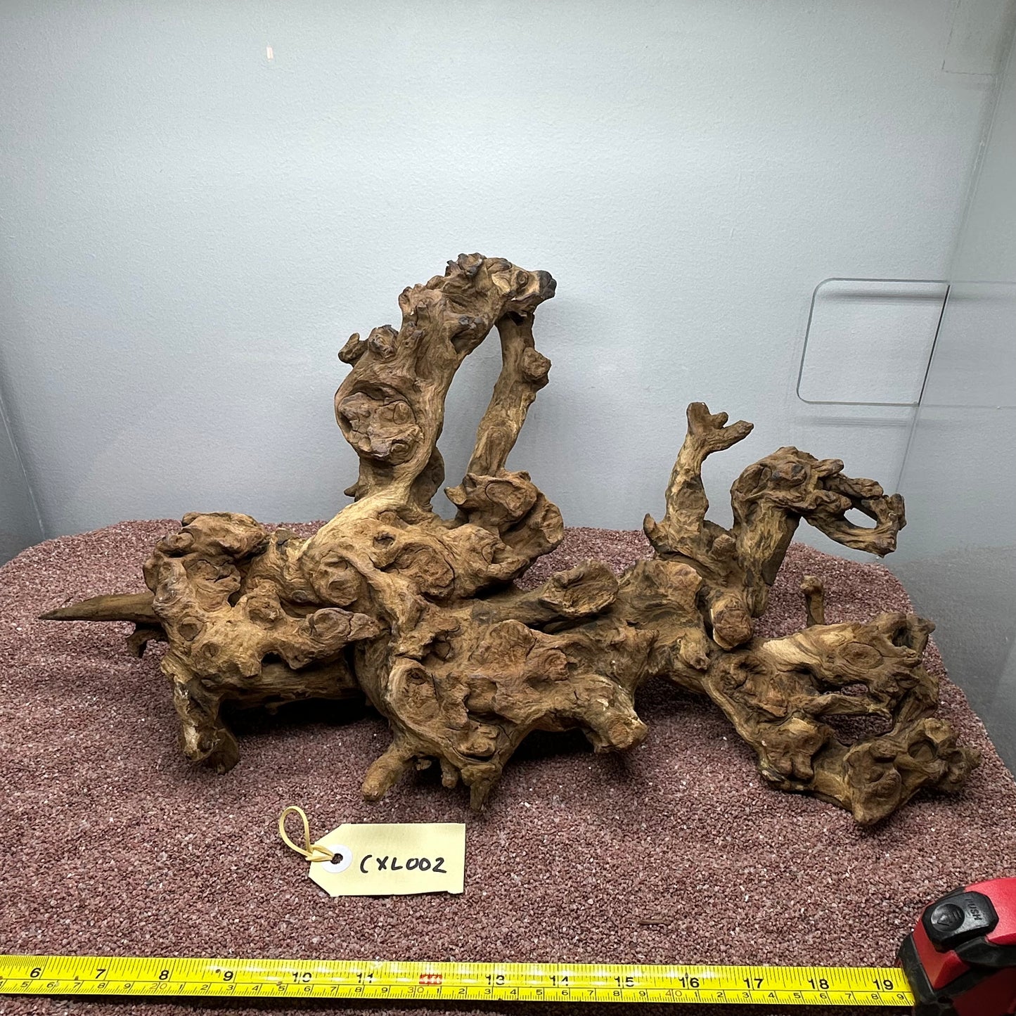Coral Wood (X Large)