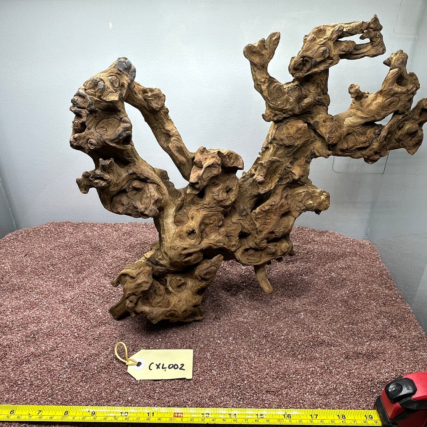 Coral Wood (X Large)
